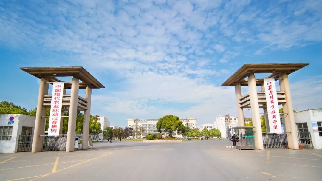 未畢業就定崗，一畢業就任教大學……這所職校的學生緣何這么牛？