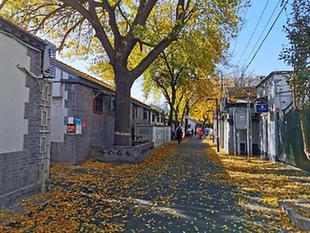 喜報！2020年十大“北京最美街巷”揭曉，又見咱建國門街道倩影