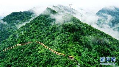 顆粒歸倉！各地開展“雙搶”打贏秋收“攻堅戰”