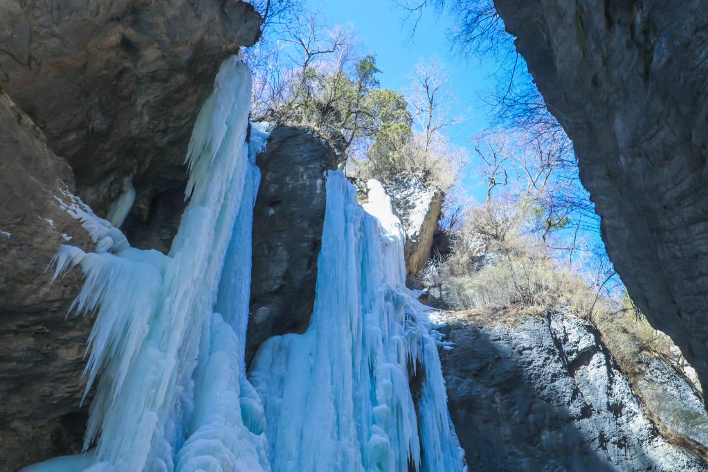 新春走基層 | 冰天雪地“冬”游熱——甘肅文旅復蘇一線見聞