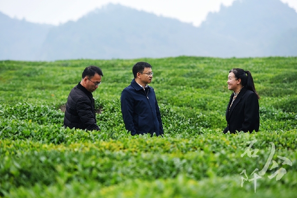 躬身為橋 緊盯供需連接山海 ——記廣東省粵黔協作工作隊銅仁工作組石阡小組組長，石阡縣委常委、副縣長李浩泉